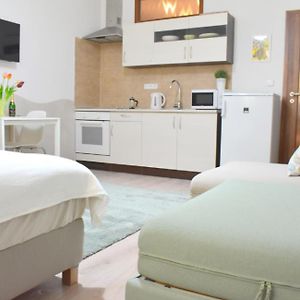 Appartement met een Slaapkamer